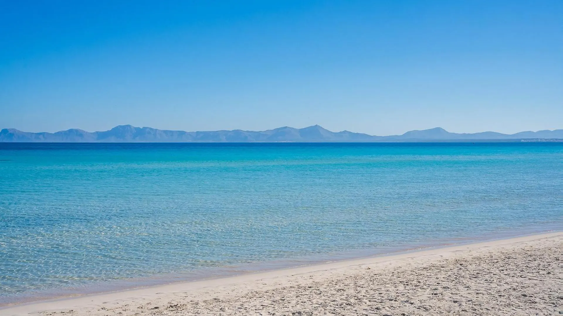 公寓 Ideal Property Mallorca - Mary 阿尔库迪亚港 西班牙